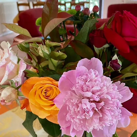 Maison Isolee, Au Coeur Des Volcans, Terrain Clos, Jeux, Confort, Cheminee, Proche Forets Et Villages. - Fr-1-582-285 Ferienhaus Queyrieres