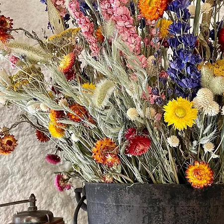 Maison Isolee, Au Coeur Des Volcans, Terrain Clos, Jeux, Confort, Cheminee, Proche Forets Et Villages. - Fr-1-582-285 度假居