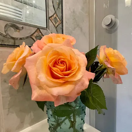 Maison Isolee, Au Coeur Des Volcans, Terrain Clos, Jeux, Confort, Cheminee, Proche Forets Et Villages. - Fr-1-582-285 Ferienhaus *