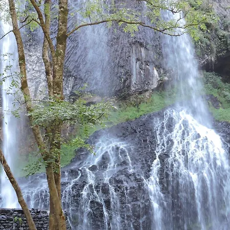 Maison Isolee, Au Coeur Des Volcans, Terrain Clos, Jeux, Confort, Cheminee, Proche Forets Et Villages. - Fr-1-582-285 בית נופש *
