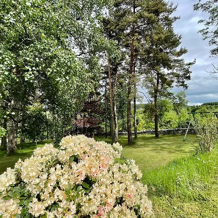 Maison Isolee, Au Coeur Des Volcans, Terrain Clos, Jeux, Confort, Cheminee, Proche Forets Et Villages. - Fr-1-582-285 * Queyrieres