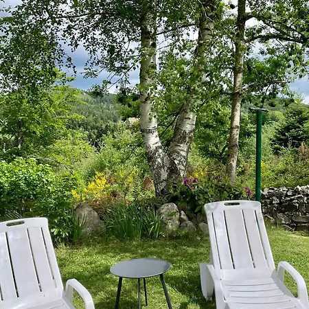 Maison Isolee, Au Coeur Des Volcans, Terrain Clos, Jeux, Confort, Cheminee, Proche Forets Et Villages. - Fr-1-582-285 Queyrieres