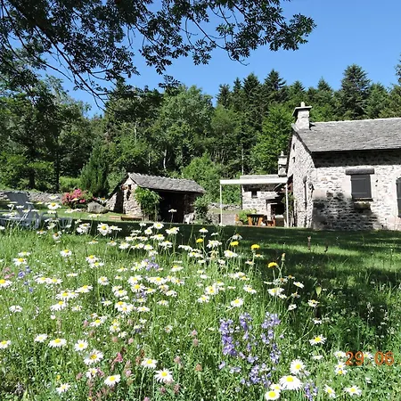 Holiday home Maison Isolee, Au Coeur Des Volcans, Terrain Clos, Jeux, Confort, Cheminee, Proche Forets Et Villages. - Fr-1-582-285